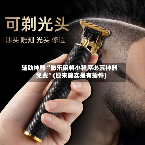 辅助神器“微乐麻将小程序必赢神器免费	”(原来确实是有插件)-第1张图片