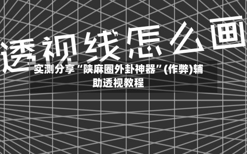 实测分享“陕麻圈外卦神器	”(作弊)辅助透视教程-第1张图片