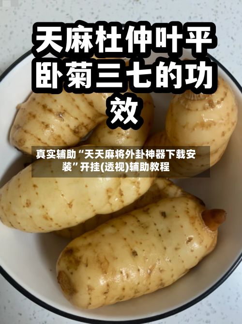 真实辅助“天天麻将外卦神器下载安装	”开挂(透视)辅助教程-第1张图片