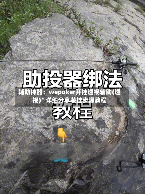 辅助神器：wepoker开挂透视辅助(透视)	”详细分享装挂步骤教程-第1张图片