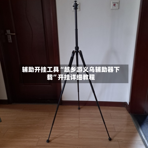 辅助开挂工具“越乡游义乌辅助器下载	”开挂详细教程-第2张图片