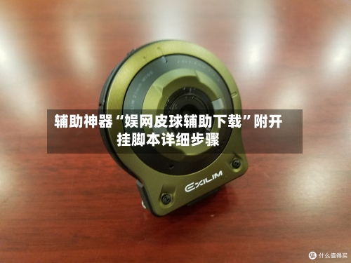 辅助神器“娱网皮球辅助下载”附开挂脚本详细步骤-第3张图片