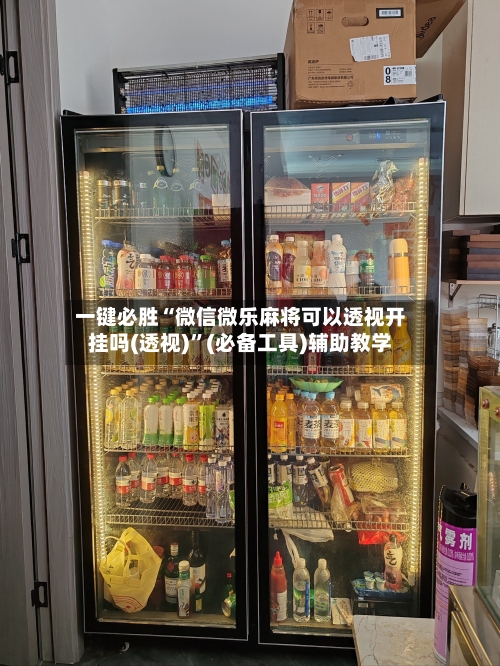 一键必胜“微信微乐麻将可以透视开挂吗(透视)”(必备工具)辅助教学-第3张图片