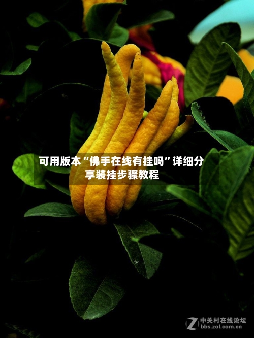 可用版本“佛手在线有挂吗	”详细分享装挂步骤教程-第1张图片