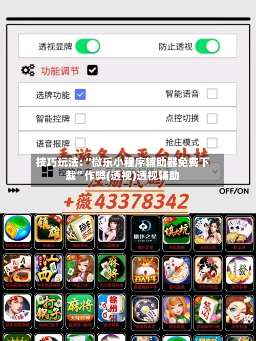 技巧玩法:“微乐小程序辅助器免费下载”作弊(透视)透视辅助-第3张图片