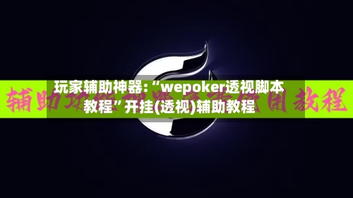 玩家辅助神器:“wepoker透视脚本教程”开挂(透视)辅助教程-第1张图片