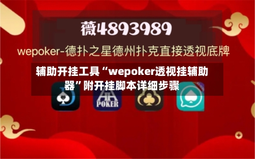 辅助开挂工具“wepoker透视挂辅助器”附开挂脚本详细步骤-第3张图片