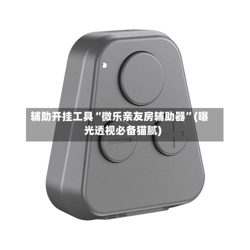 辅助开挂工具“微乐亲友房辅助器”(曝光透视必备猫腻)-第1张图片