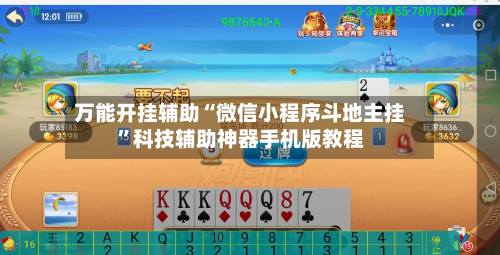 万能开挂辅助“微信小程序斗地主挂”科技辅助神器手机版教程-第2张图片