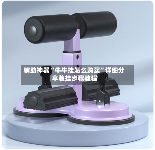 辅助神器“牛牛挂怎么购买”详细分享装挂步骤教程-第1张图片