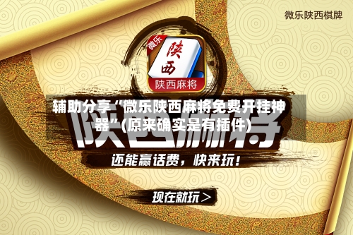 辅助分享“微乐陕西麻将免费开挂神器”(原来确实是有插件)-第3张图片