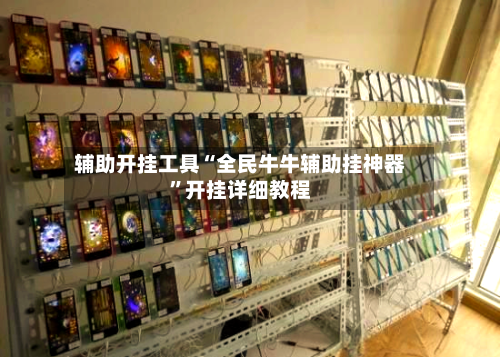 辅助开挂工具“全民牛牛辅助挂神器”开挂详细教程-第3张图片