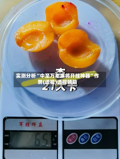 实测分析“中至万年麻将开挂神器”作弊(透视)透视辅助-第2张图片