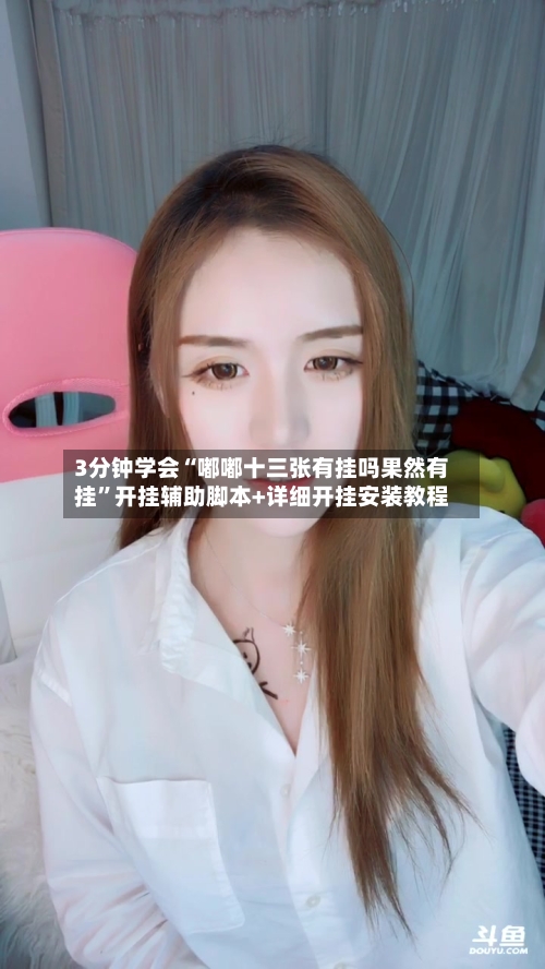 3分钟学会“嘟嘟十三张有挂吗果然有挂”开挂辅助脚本+详细开挂安装教程-第1张图片