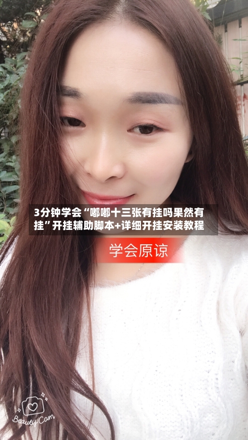 3分钟学会“嘟嘟十三张有挂吗果然有挂”开挂辅助脚本+详细开挂安装教程-第2张图片