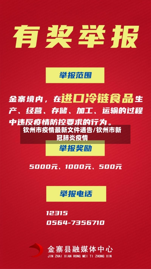 钦州市疫情最新文件通告/钦州市新冠肺炎疫情-第3张图片