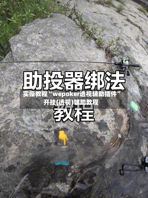 实操教程“wepoker透视辅助插件	”开挂(透视)辅助教程-第1张图片