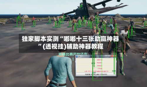 独家脚本实测“嘟嘟十三张助赢神器”(透视挂)辅助神器教程-第1张图片
