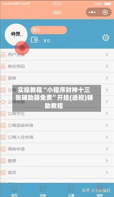 实操教程“小程序财神十三张辅助器免费”开挂(透视)辅助教程-第1张图片