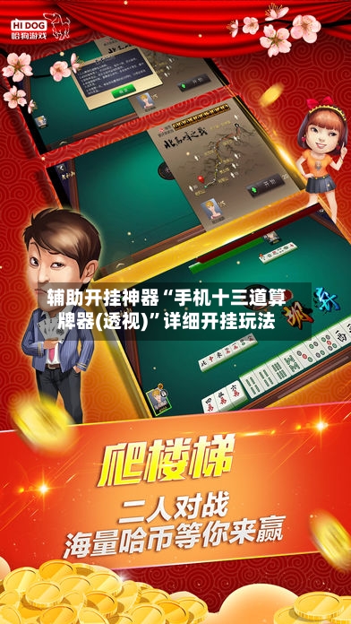 辅助开挂神器“手机十三道算牌器(透视)”详细开挂玩法-第2张图片