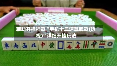 辅助开挂神器“手机十三道算牌器(透视)	”详细开挂玩法-第1张图片