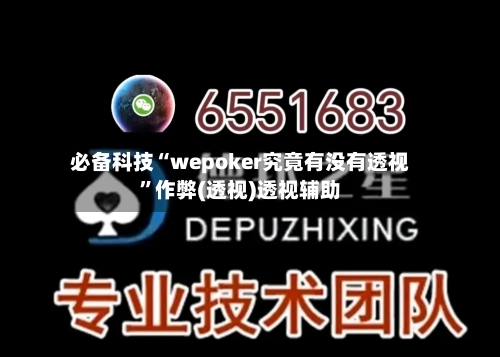 必备科技“wepoker究竟有没有透视”作弊(透视)透视辅助-第2张图片